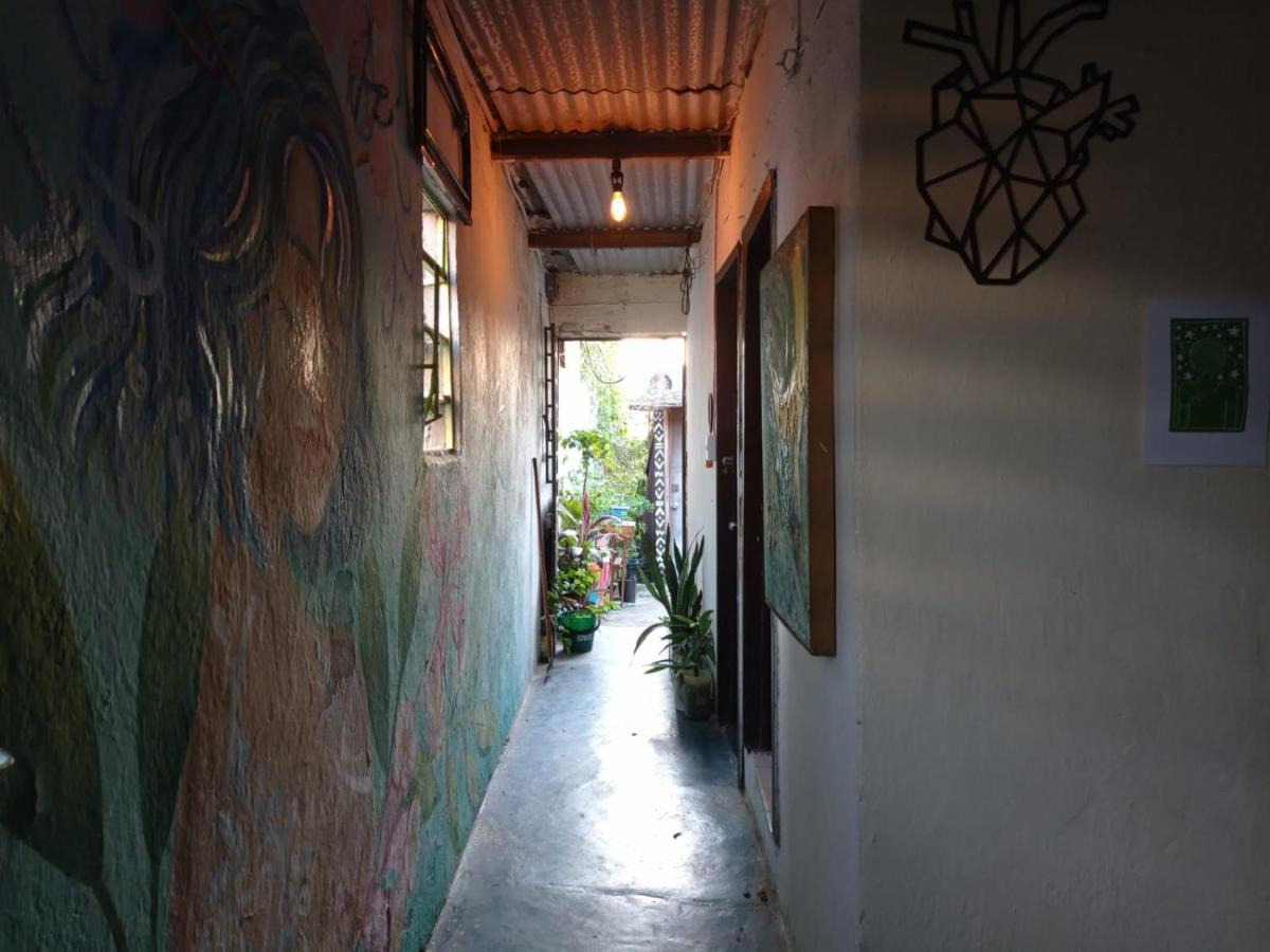 Casa Macuilli, Habitacion Privada. ビジャエルモッサ エクステリア 写真